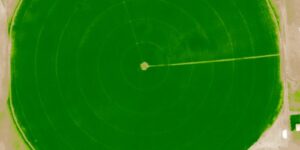 Agisoft Metashape Professional Features