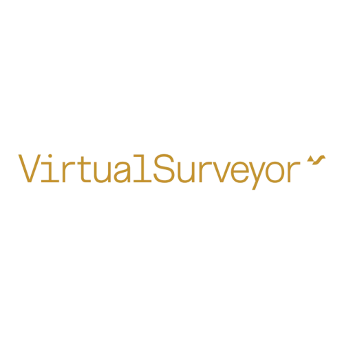 Virtual Surveyor