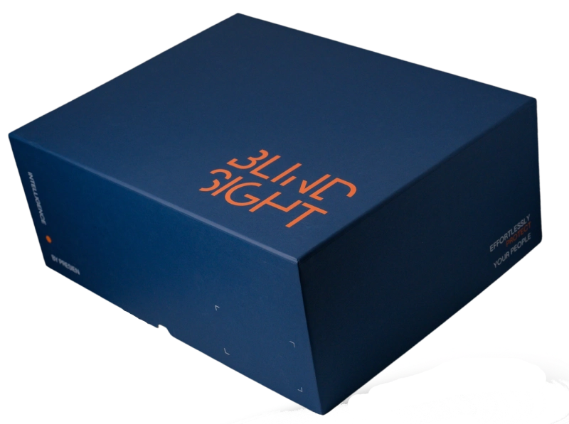 Blindsight | Collision avoidance System